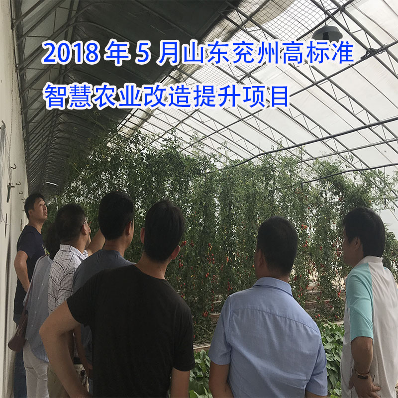 1589179147852023.jpg sdc.jpg