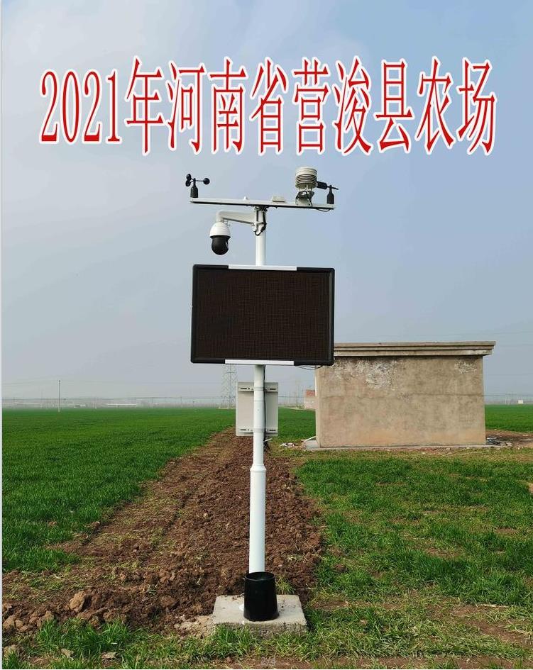 1615451606820012.jpg 1.jpg