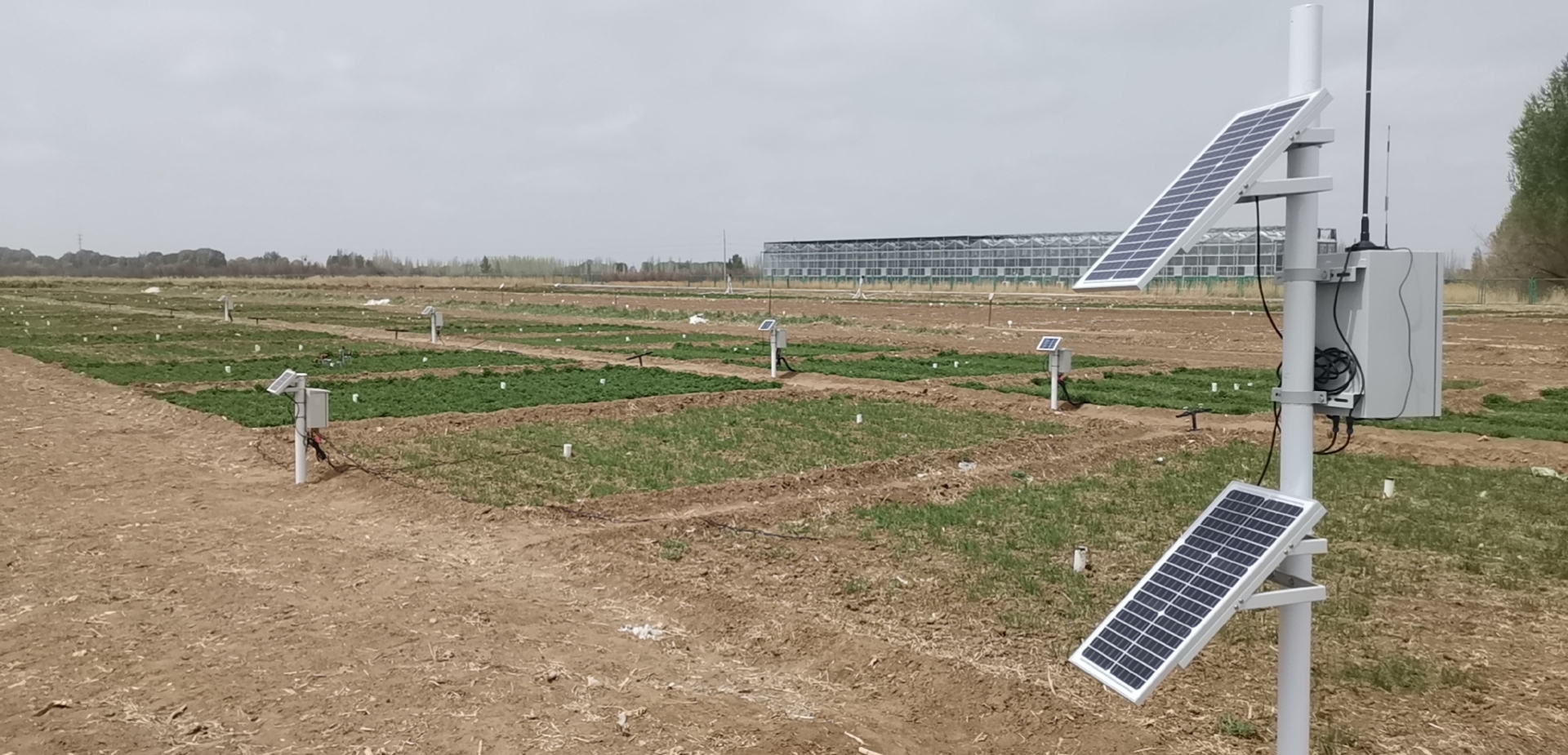 1619416532778119.jpg 1619416532778119.jpg