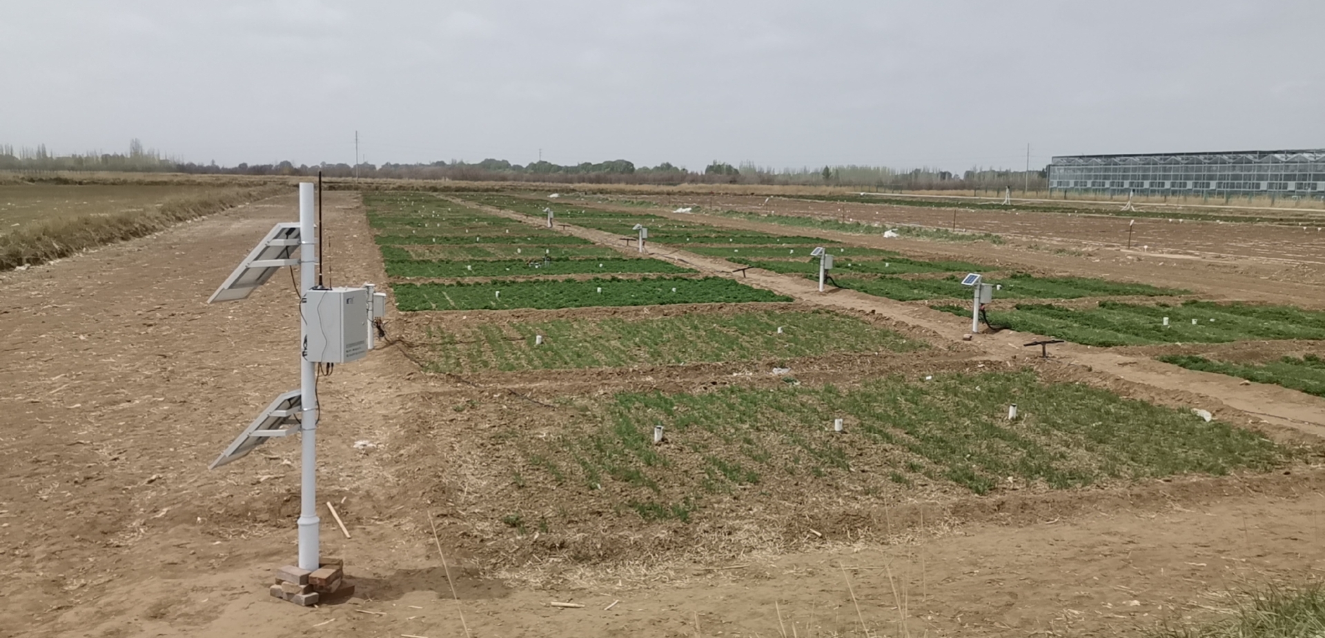 1619416588757011.jpg 1619416588757011.jpg