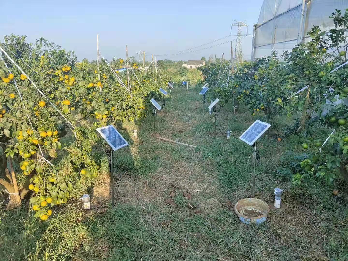 1635300627479147.jpg 12ce850f441040d927155f63a584f8d.jpg