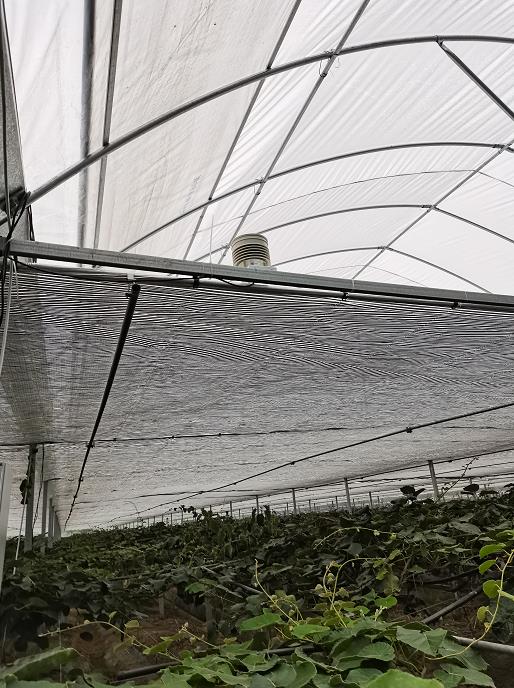 溫室控制柜及自動化系統(tǒng)圖片2 溫室控制柜及自動化系統(tǒng)圖片2