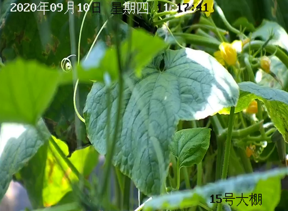 溫室大棚氣象監(jiān)測(cè)站圖片3 溫室大棚氣象監(jiān)測(cè)站圖片3