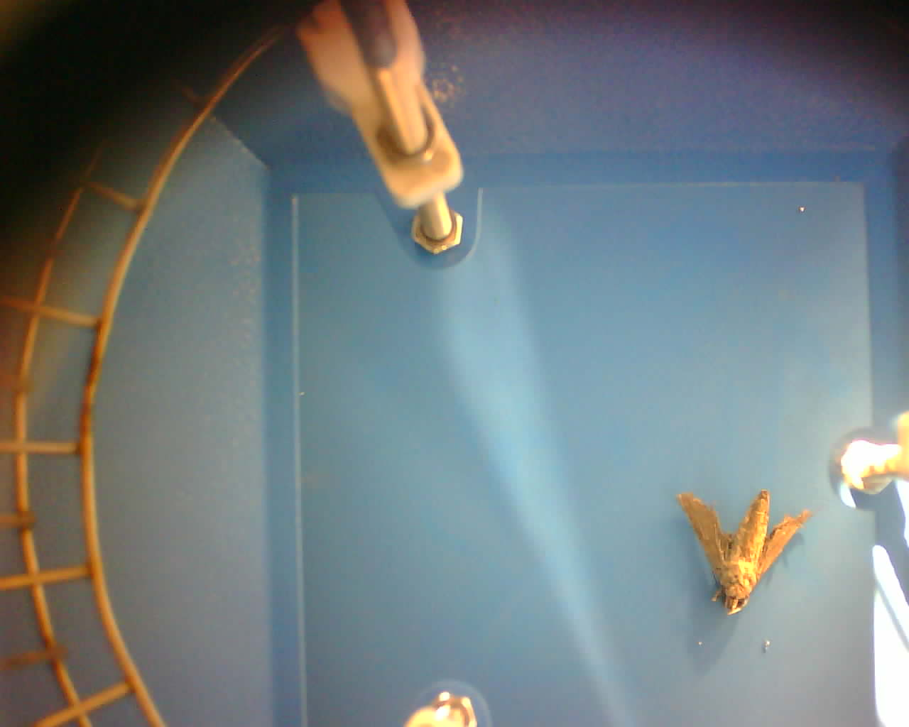 害蟲遠程實時監(jiān)測系統(tǒng)圖片2 害蟲遠程實時監(jiān)測系統(tǒng)圖片2