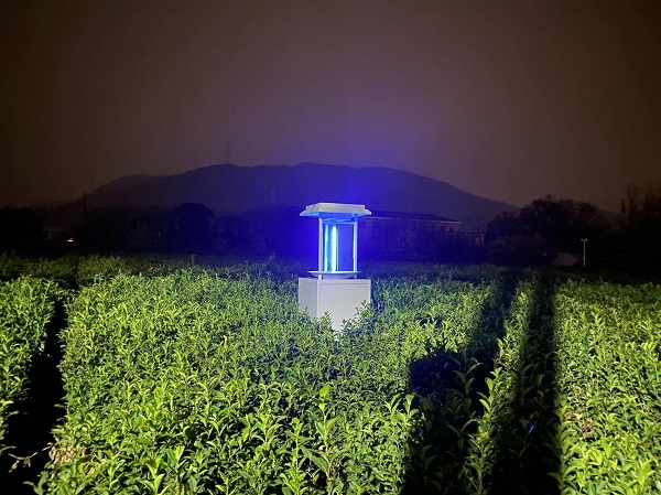 太陽能蟲情測報(bào)燈圖片2