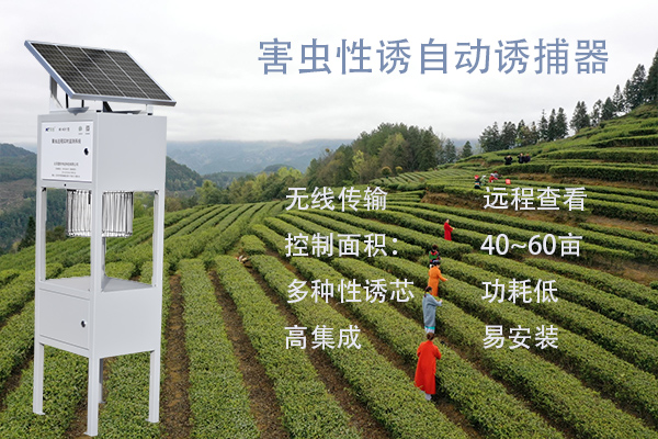 害蟲性誘自動(dòng)誘捕器圖片3 害蟲性誘自動(dòng)誘捕器圖片3