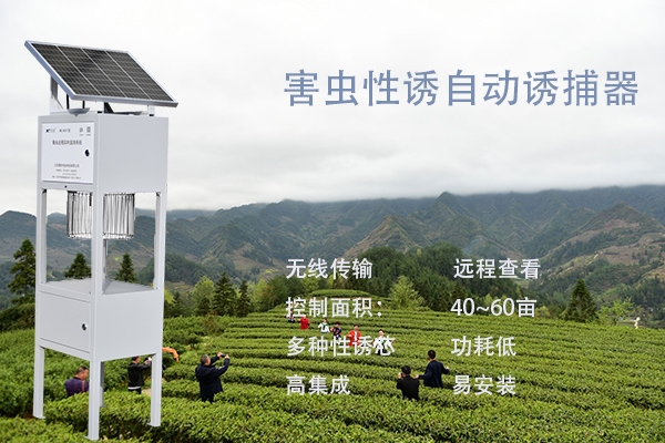 害蟲性誘自動(dòng)誘捕器圖片2 害蟲性誘自動(dòng)誘捕器圖片2