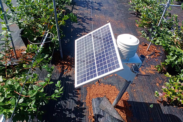 自動小型氣象站圖片1 自動小型氣象站圖片1