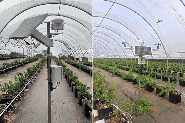 農業(yè)自動氣象站圖片3