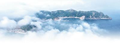 布設(shè)捕捉害蟲(chóng)的“天網(wǎng)” 圖片1