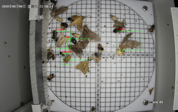 病蟲害監(jiān)測(cè)系統(tǒng)圖片3 病蟲害監(jiān)測(cè)系統(tǒng)圖片3