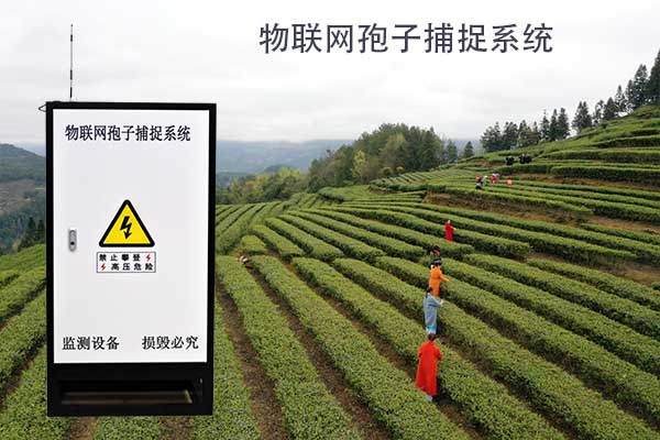 1702460547180545.jpg 物聯(lián)網(wǎng)孢子捕捉系統(tǒng).jpg