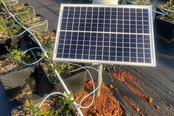 高效特色農(nóng)業(yè)設備圖片3 高效特色農(nóng)業(yè)設備圖片3