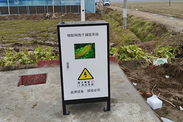 農(nóng)業(yè)高標(biāo)準(zhǔn)農(nóng)田圖片6