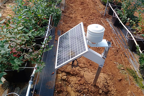 智慧大棚環(huán)境監(jiān)測系統(tǒng)圖片3 智慧大棚環(huán)境監(jiān)測系統(tǒng)圖片3