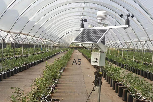智慧大棚環(huán)境監(jiān)測系統(tǒng)圖片5 智慧大棚環(huán)境監(jiān)測系統(tǒng)圖片5
