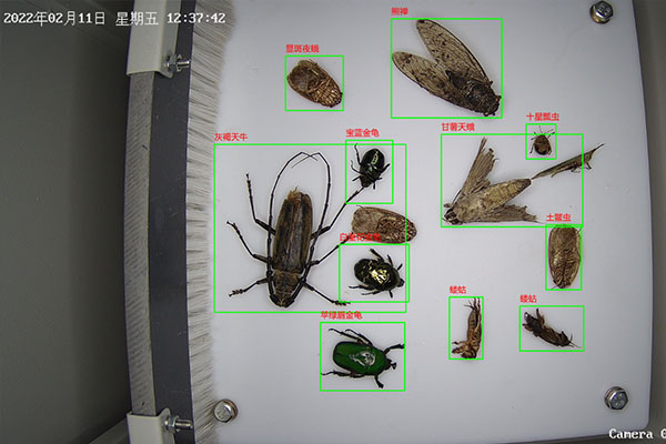 蟲情測報設(shè)備圖片2 蟲情測報設(shè)備圖片2