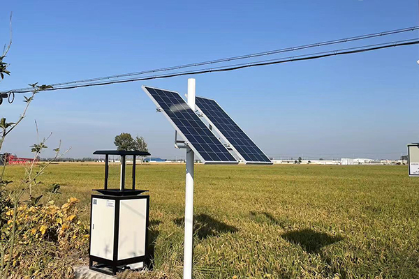 蟲情預(yù)警圖片3