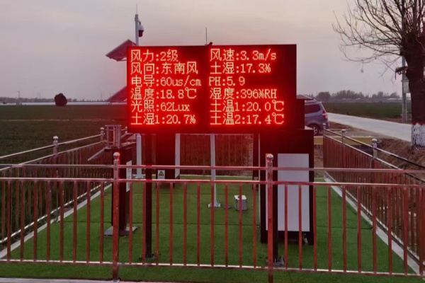 蟲情測報(bào)燈圖片4