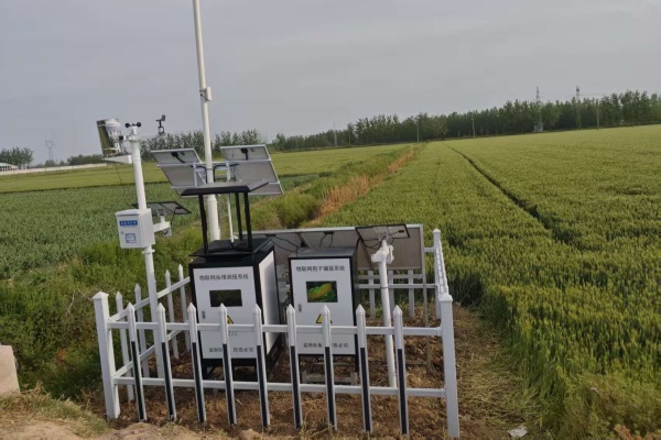 2025年宿遷測報燈孢子儀項目現(xiàn)場圖片2