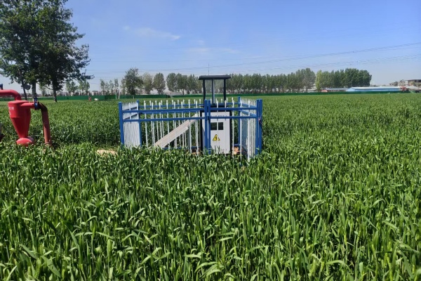 河北欒城蟲(chóng)情測(cè)報(bào)燈項(xiàng)目現(xiàn)場(chǎng)圖片3