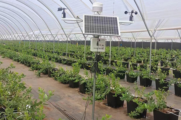 便攜式自動(dòng)風(fēng)向監(jiān)測(cè)儀圖片2