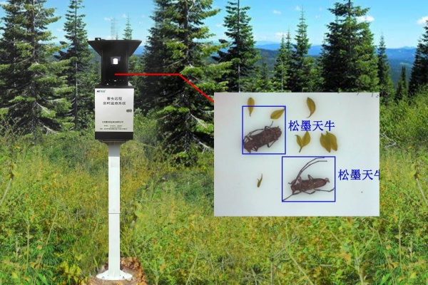 天牛智能誘捕器圖片2