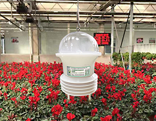 “智能花藍(lán)”4G環(huán)境數(shù)據(jù)監(jiān)測儀