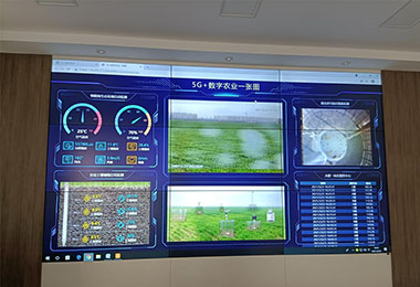 2021河南鶴壁?？h國(guó)營(yíng)農(nóng)場(chǎng)